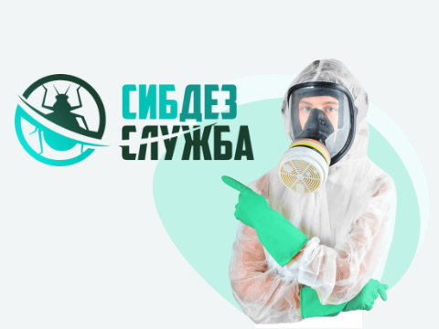 Разработка сайта Томск для компании - Сибдезслужба