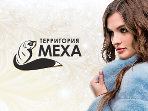 Разработка интернет магазина Территория Меха